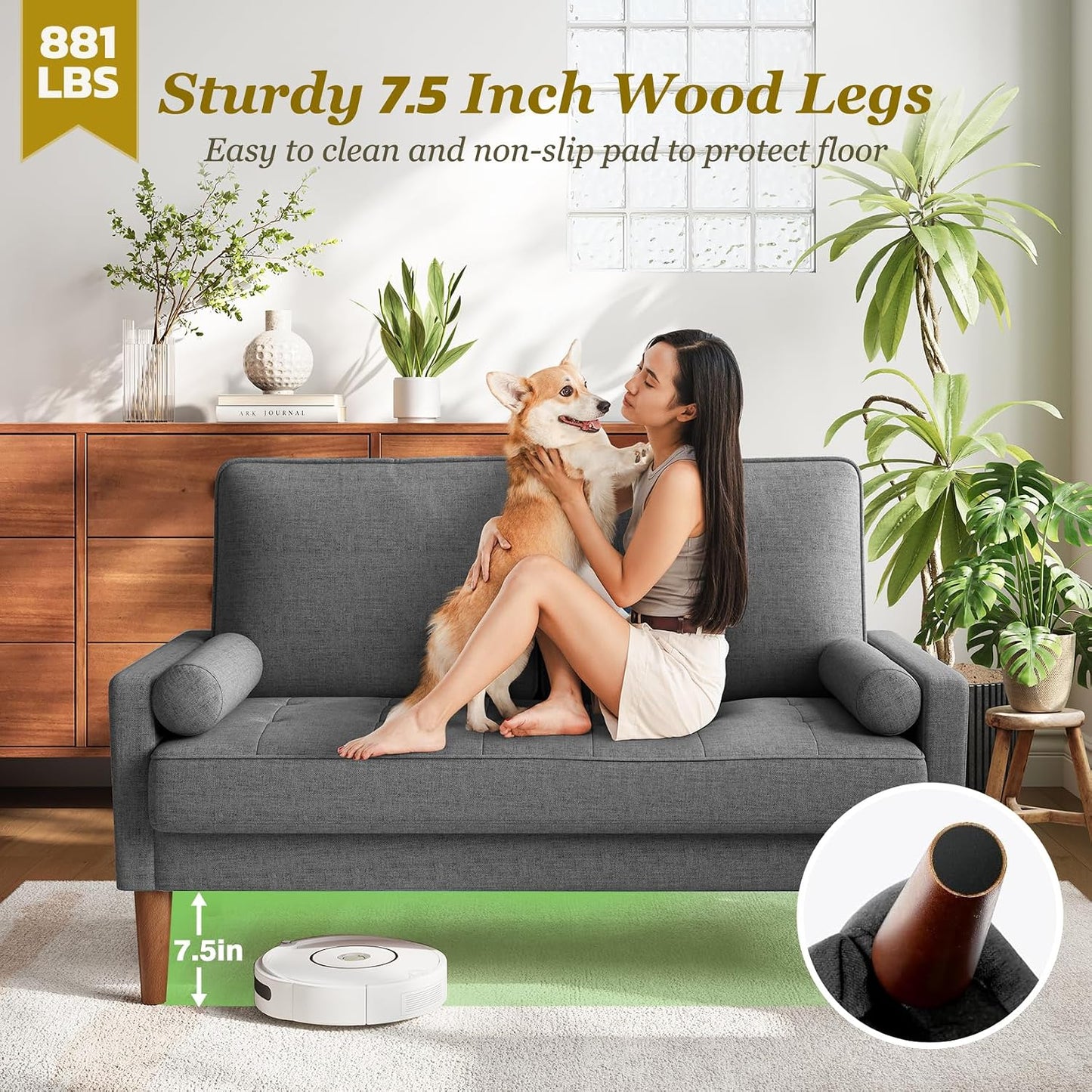 GoFurnitureHub Mid-Century Modern 2-Seater Sofa with Throw Pillow