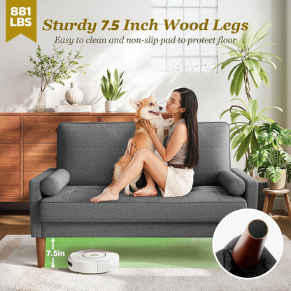 GoFurnitureHub Mid-Century Modern 2-Seater Sofa with Throw Pillow